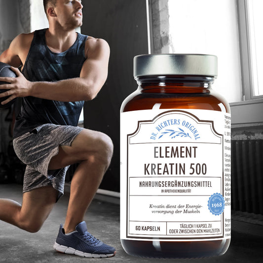 Element Kreatin 500