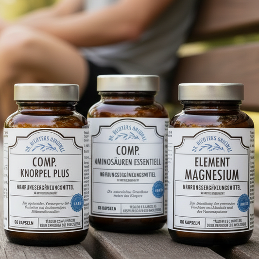 Muskel- & Gelenk Paket (Skelett)